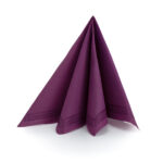 Serwetka TENDANCE 38x38 cm 50 szt śliwkowa z paskiem 2-warstwy